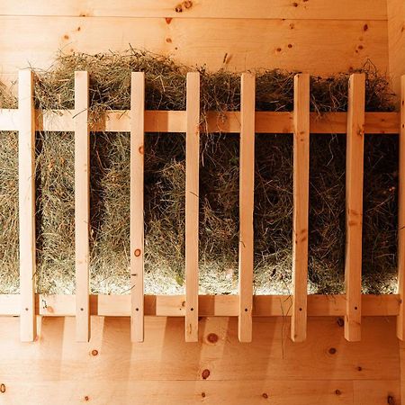伊丽莎白木屋酒店 塞尔瓦迪加尔代纳山谷 外观 照片